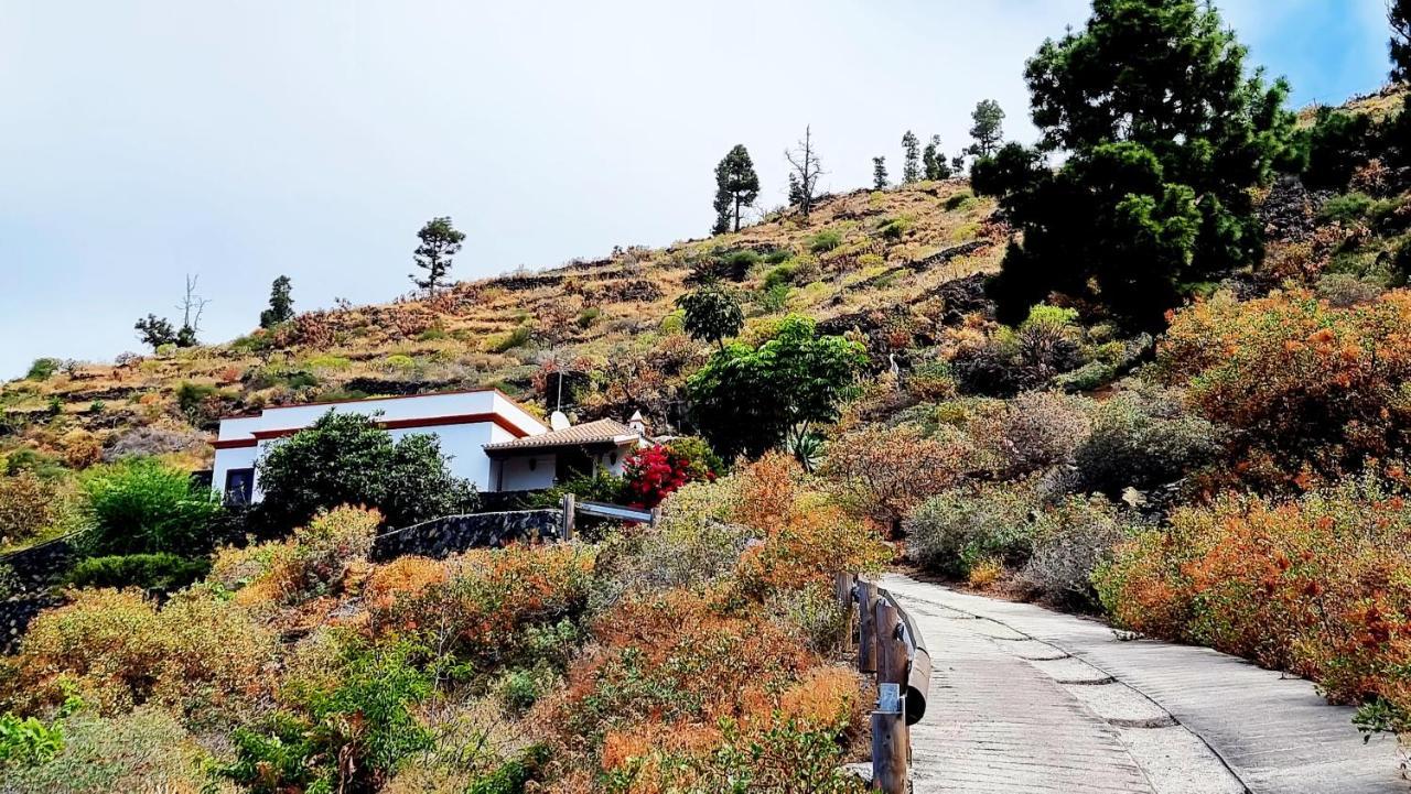 Holiday home El Nispero